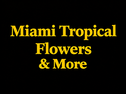 Miami Tropical Flowers Fresh